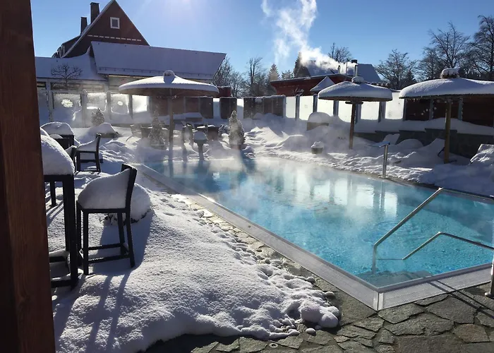 Huisdiervriendelijk hotel: Vakantiehotel Der Brabander