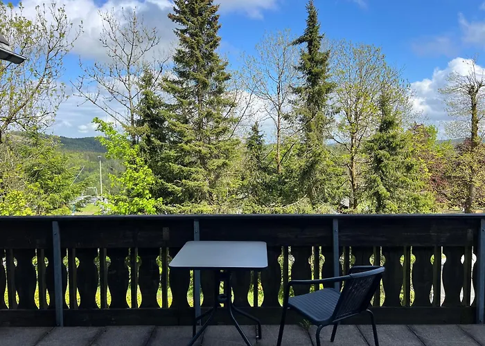 Pension Mountain View Sauerland